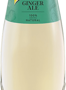 Boissons et Mixers Boîte de 24 unités Schweppes Ginger Petite Bouteille 25 cl. vente en ligne