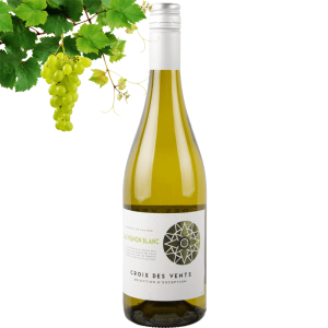 Croix de Vents Sauvignon blanc pas cher