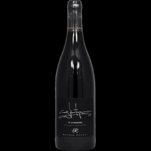 Crozes-Hermitage « Et La Bannière » – Rouge – 2022 – Domaine du Coulet – Matthieu Barret