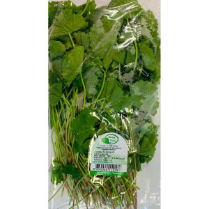 Pennyworth asiatique (Asian Pennyworth) 100gr
