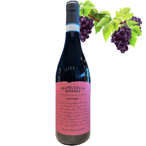 Villa Borghetti Valpolicella Ripasso stock limité